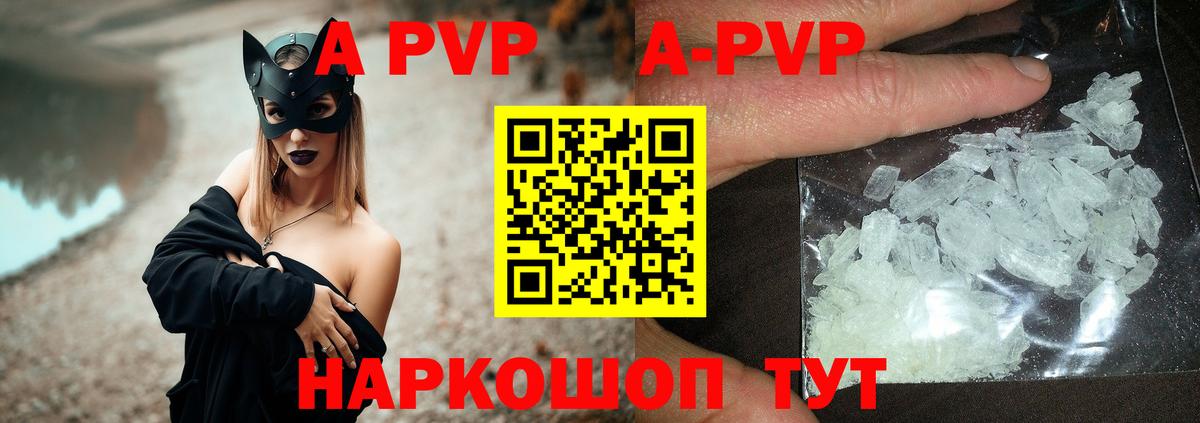 Alfa_PVP СК КРИС Назрань