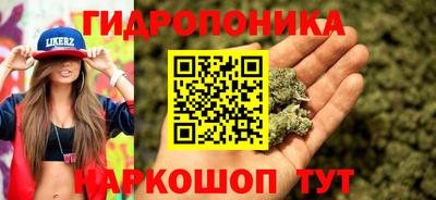 дмт Старая Купавна
