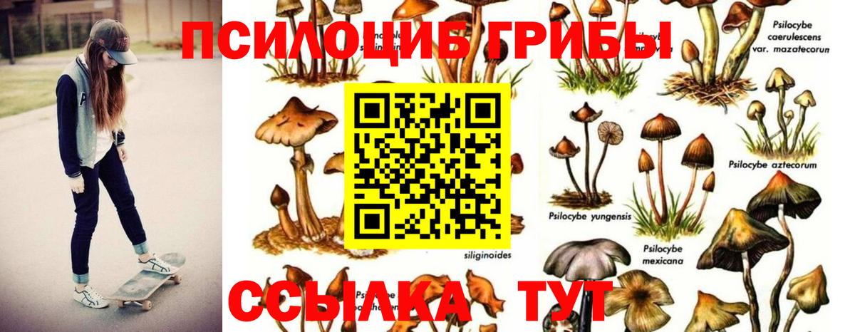 Псилоцибиновые грибы Magic Shrooms  Вход с VPN  как найти закладки  Назрань 