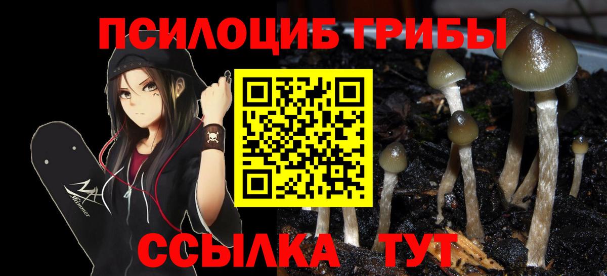 Псилоцибиновые грибы мухоморы Назрань